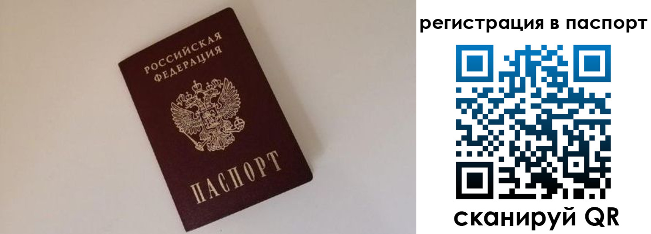 временная регистрация недорого в Брянске
